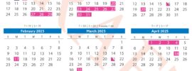 Chesterfield County Public Schools Calendar 2024